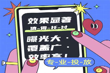 百度竞价广告投放全解析：成功案例揭秘